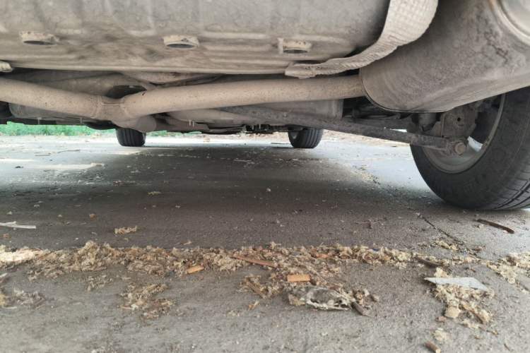 Used Buick Verano 2015 Sedan 20T Dual-Clutch Leading Model Chassis Rear Right