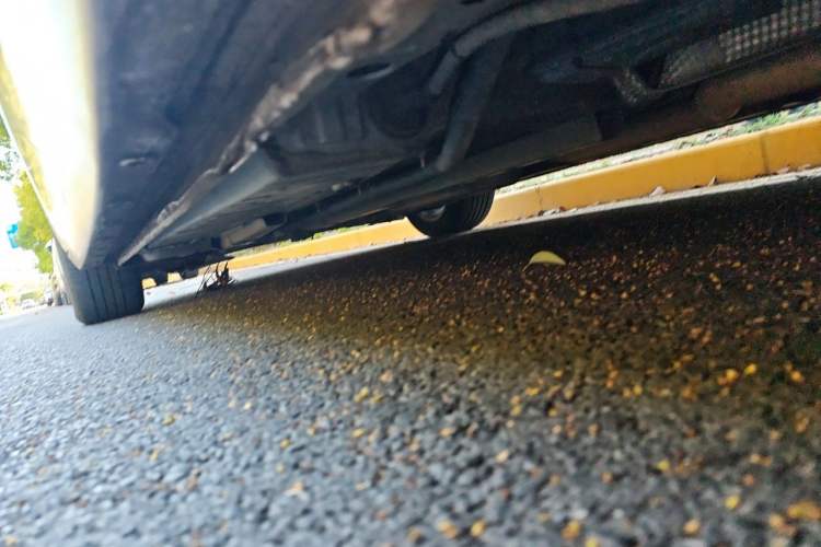 Used Buick Verano 2015 Sedan 15S Automatic Leading Model Chassis Rear Left