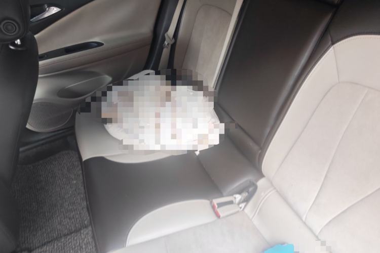 Used Buick Verano 2015 Sedan 15S Manual Leading Model Left Rear Seat