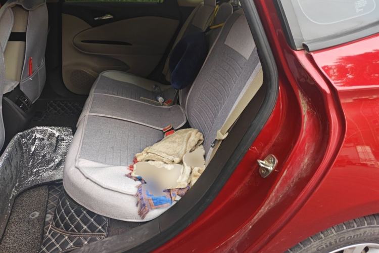 Used Buick Verano 2017 Sedan 15S Automatic Entry Model Left Rear Seat