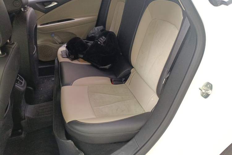 Used Buick Verano 2018 Sedan 15S Automatic Leading Model Left Rear Seat