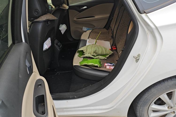 Used Buick Verano 2018 Sedan 15S Automatic Leading Model Left Rear Seat