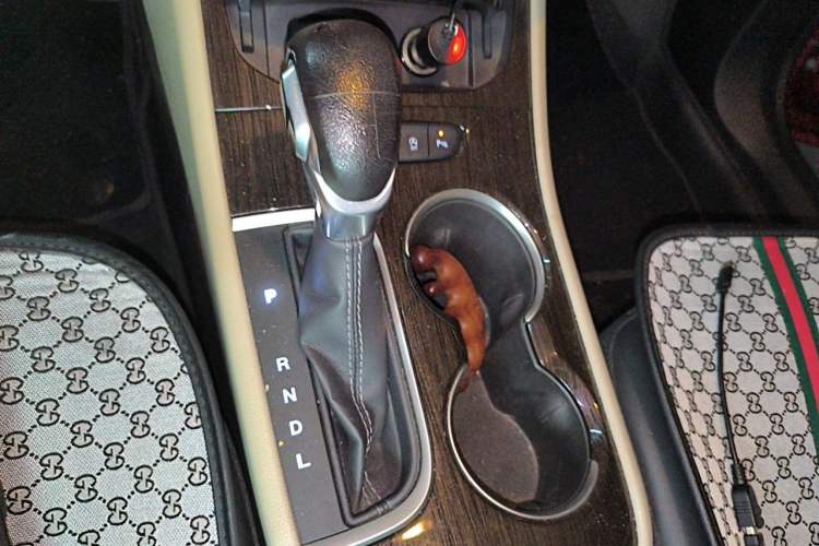 Used Buick Verano 2019 Sedan 15S Automatic Leading Model Gear Lever