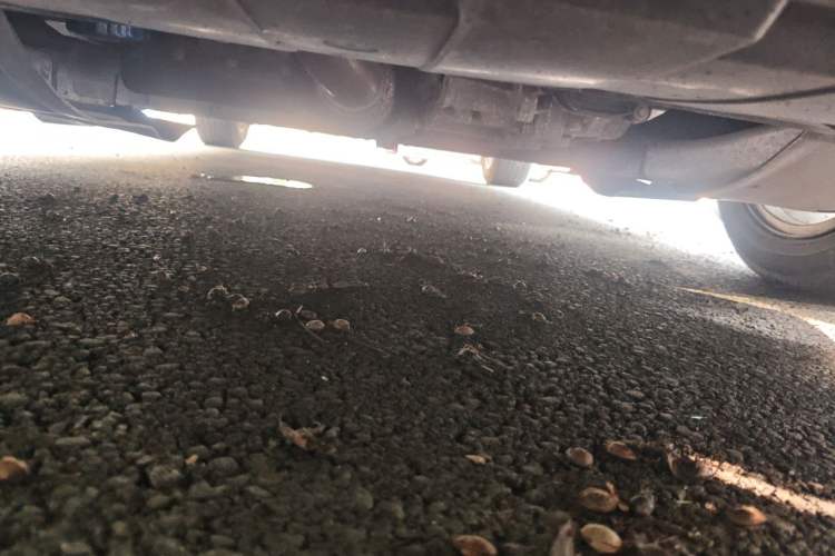 Used Buick Verano 2019 Sedan 15S Automatic Leading Model Chassis Front