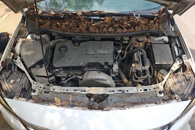 Used Buick Verano 2019 Sedan 15S Automatic Entry Model Engine Bay