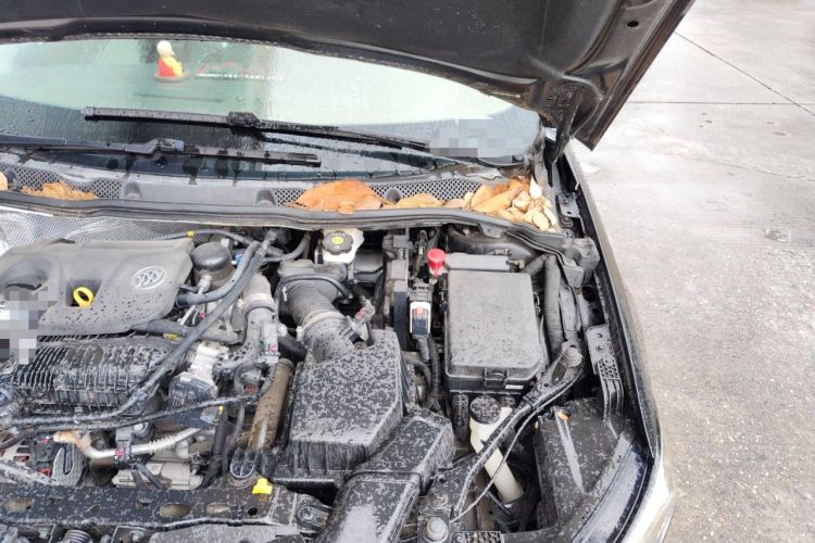 Used Buick Verano 2020 15T Automatic Trend Edition Engine Bay Left