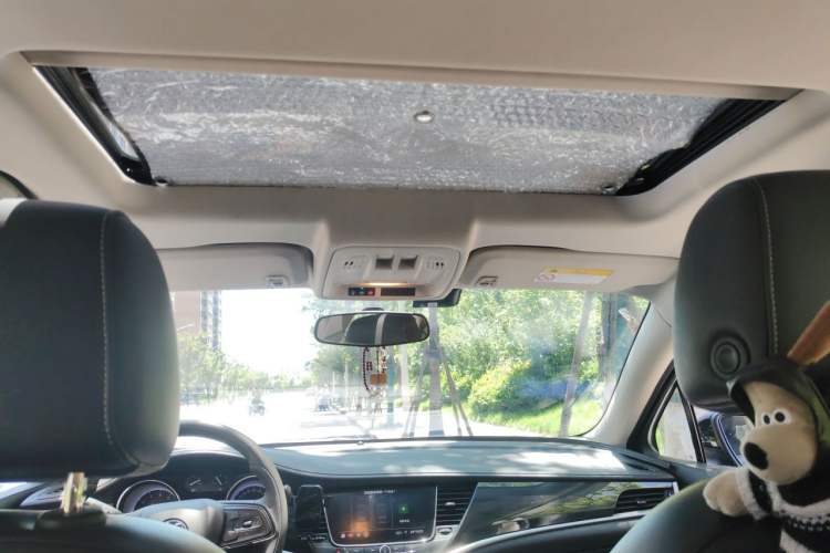Used Buick Verano 2020 20T CVT Leading Edition Headliner