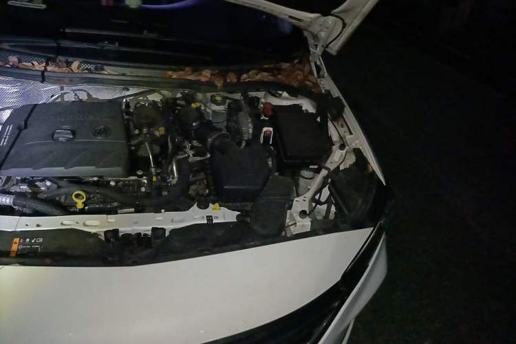 Used Buick Verano 2020 20T CVT Luxury Version Engine Bay Left