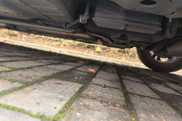 Used Buick Verano 2022 Pro GS Wind-Chasing Edition Chassis Rear Left