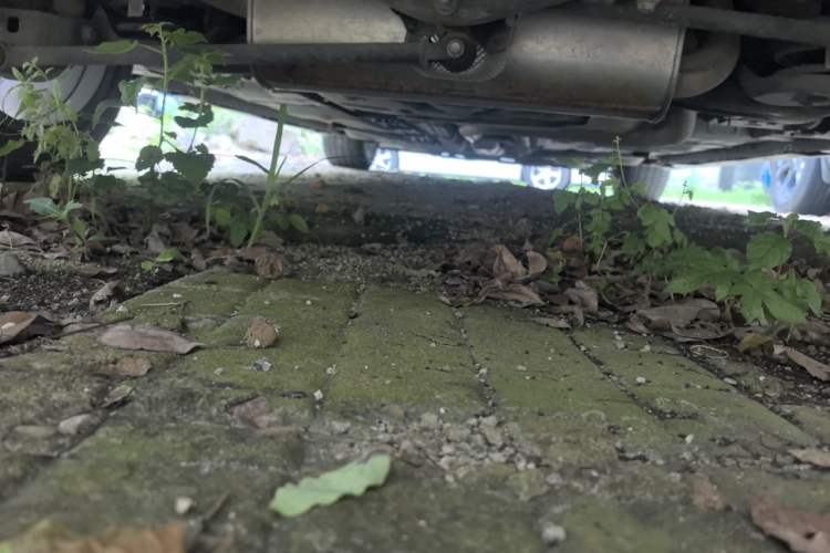 Used Buick Verano 2022 Pro GS Gale Edition Chassis Rear