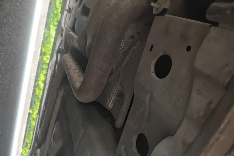 Used Buick Verano 2022 Pro 533T Enjoyment Edition Chassis Rear Right
