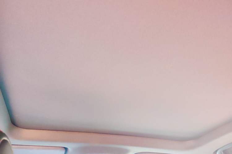 Used Buick Verano 2022 Pro GS Gale Edition Headliner