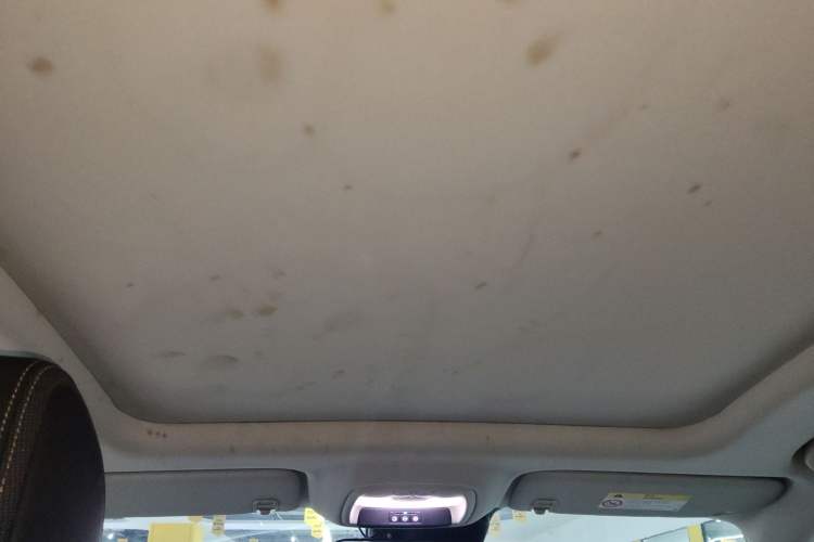 Used Buick Verano 2022 Pro 533T Fun Edition Headliner