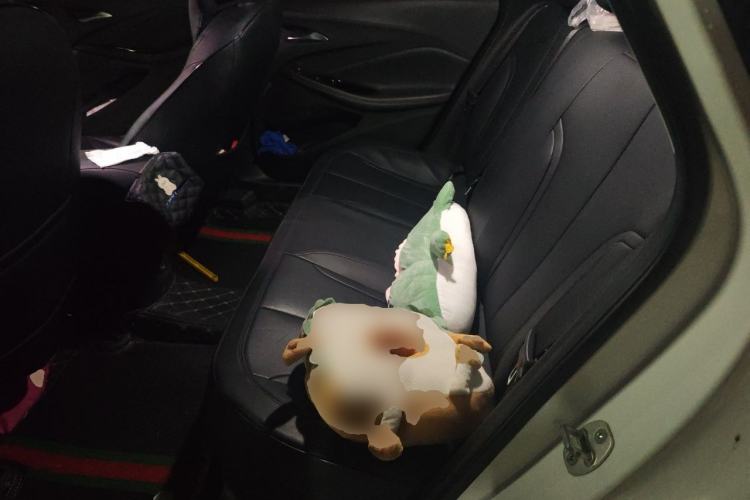 Used Buick Verano 2022 Pro 533T Enjoyment Edition Left Rear Seat