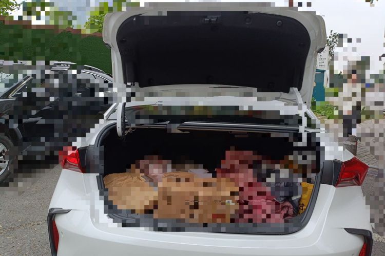 Used Buick Verano 2022 Pro GS Gale Edition Trunk
