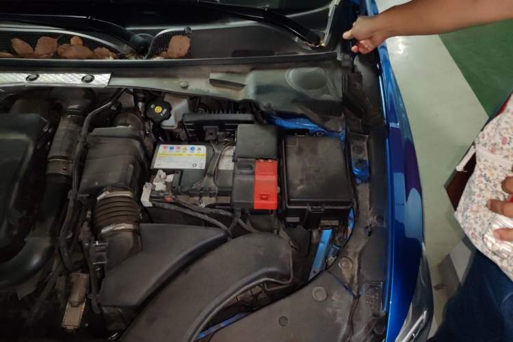 Used Buick Verano 2023 Pro GS Hunter Wind Edition Engine Bay Left