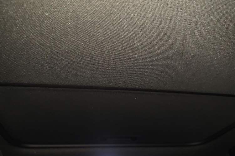 Used Buick Verano 2023 Pro GS Hunter Wind Edition Headliner
