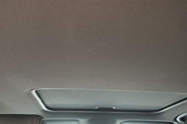 Used Buick Verano 2023 Pro GS Hunter Wind Edition Headliner