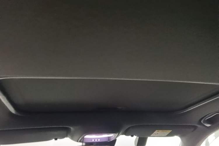 Used Buick Verano 2023 Pro GS Hunter Wind Edition Headliner