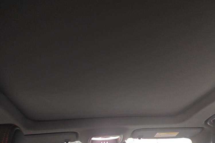 Used Buick Verano 2023 Pro GS Swift Edition Headliner