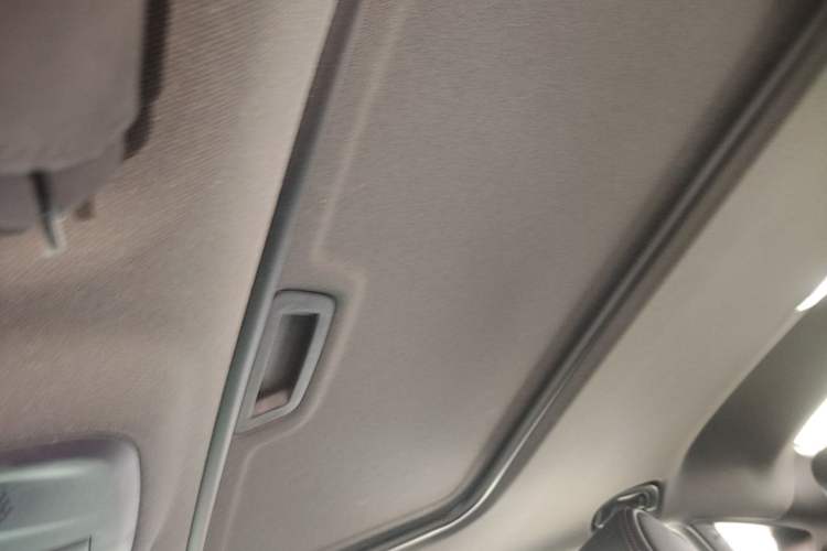 Used Buick Verano 2023 Pro GS Hunter Wind Edition Headliner