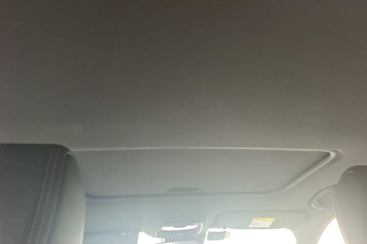 Used Buick Verano 2023 Pro GS Hunter Wind Edition Headliner