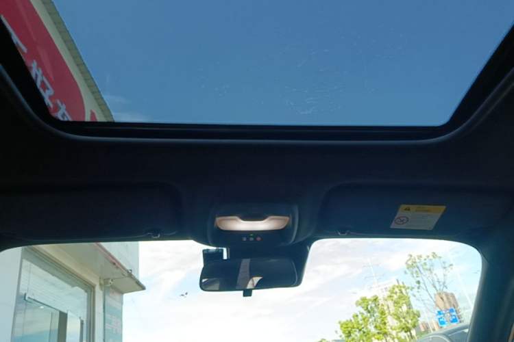 Used Buick Verano 2023 Pro GS Hunter Wind Edition Headliner