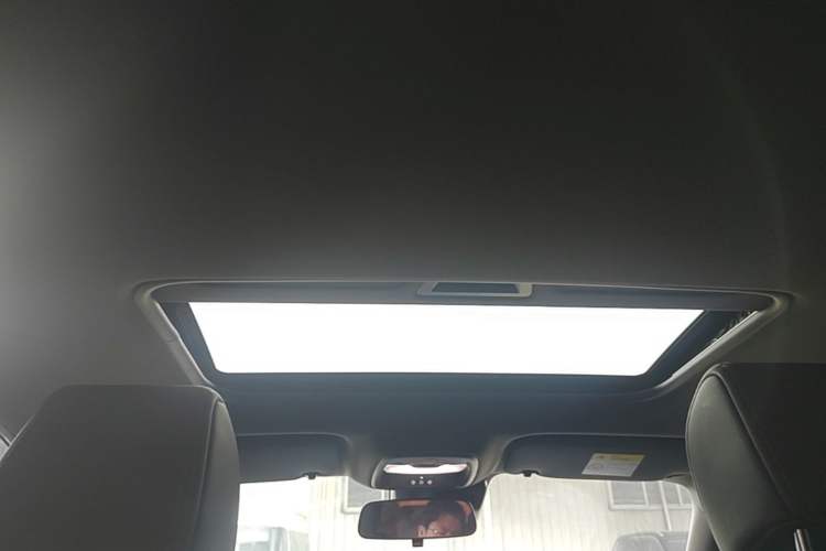 Used Buick Verano 2023 Pro GS Hunter Wind Edition Headliner