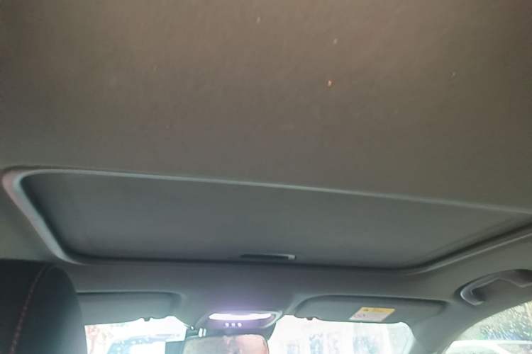 Used Buick Verano 2023 Pro GS Hunter Wind Edition Headliner