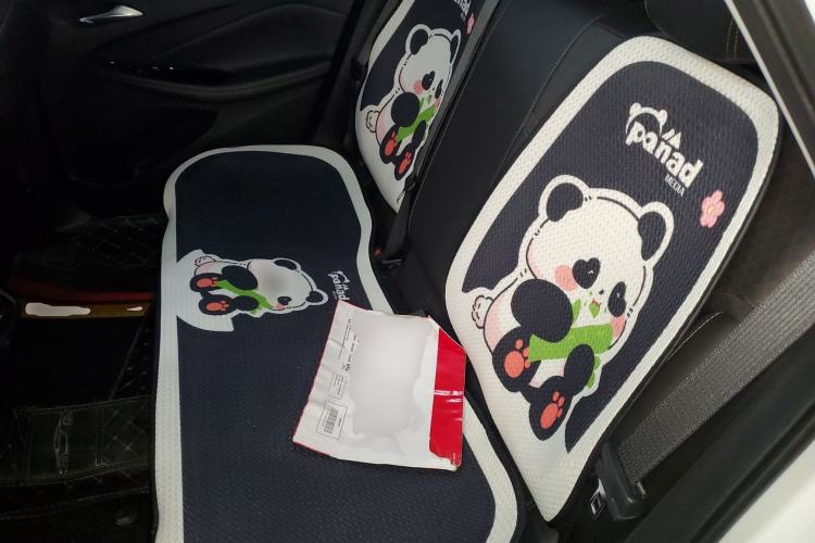 Used Buick Verano 2023 Pro Enjoyment Edition Left Rear Seat