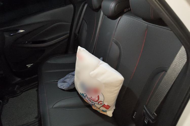 Used Buick Verano 2023 Pro GS Hunter Wind Edition Left Rear Seat