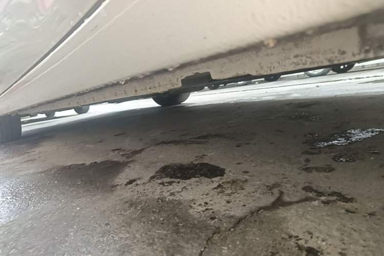 Used Buick Verano 2023 Pro GS Hunter Wind Edition Left Side Sill