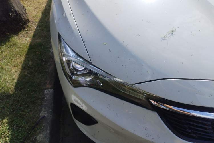 Used Buick Verano 2023 Pro Le Yi Edition Right Front Headlight