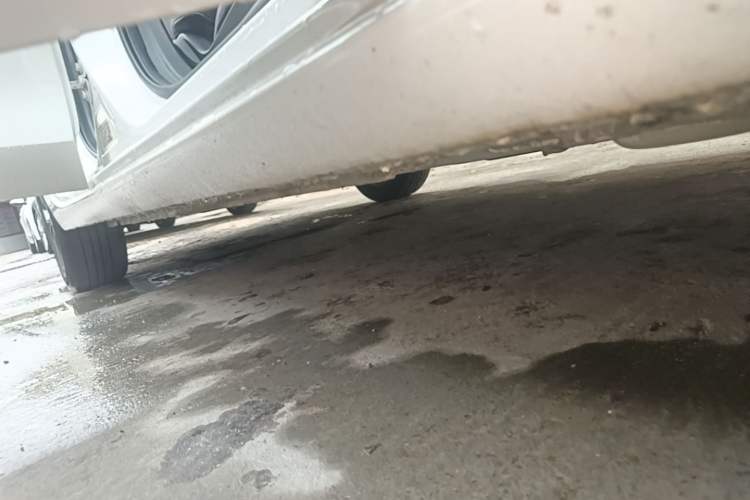 Used Buick Verano 2023 Pro GS Hunter Wind Edition Right Side Sill