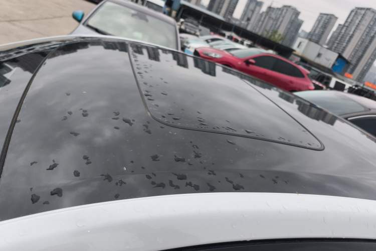 Used Buick Verano 2023 Pro GS Hunter Wind Edition Roof