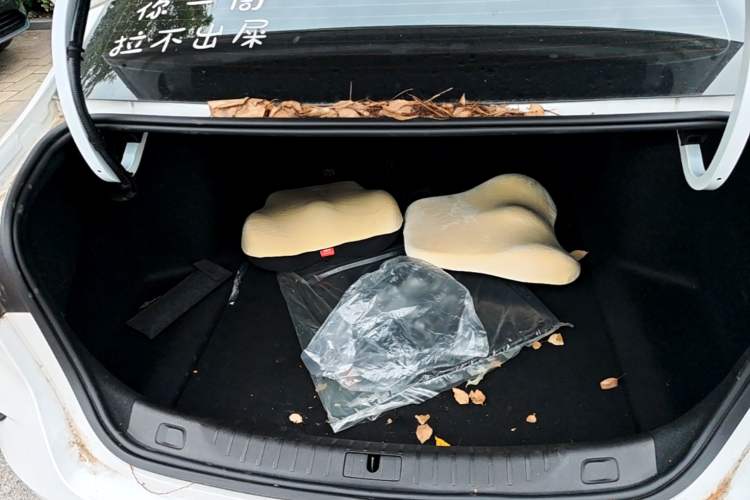 Used Buick Verano 2023 Pro GS Hunter Wind Edition Trunk