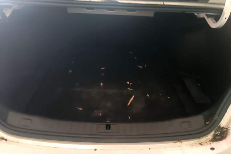 Used Buick Verano 2023 Pro GS Swift Edition Trunk