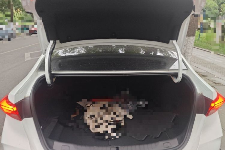 Used Buick Verano 2023 Pro Enjoyment Edition Trunk