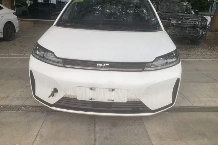 Used BYD D1 2022 Standard Edition Exterior 1