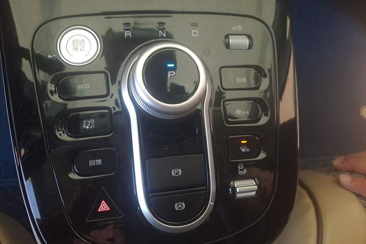 Used BYD D1 2023 Beyond Edition Gear Lever
