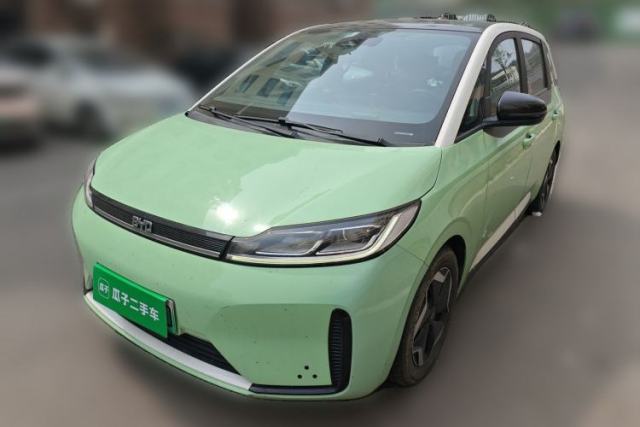 Used BYD D1 2021 Leading Edition
