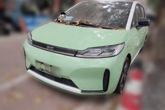 Used BYD D1 2021 Leading Edition