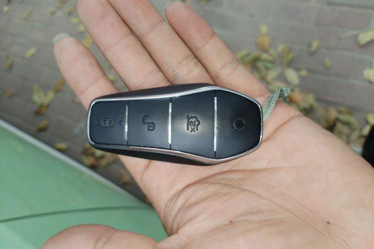 Used BYD D1 2021 Leading Edition Vehicle Key