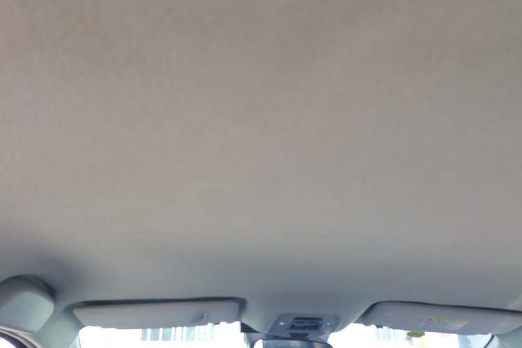 Used BYD D1 2021 Leading Edition Headliner