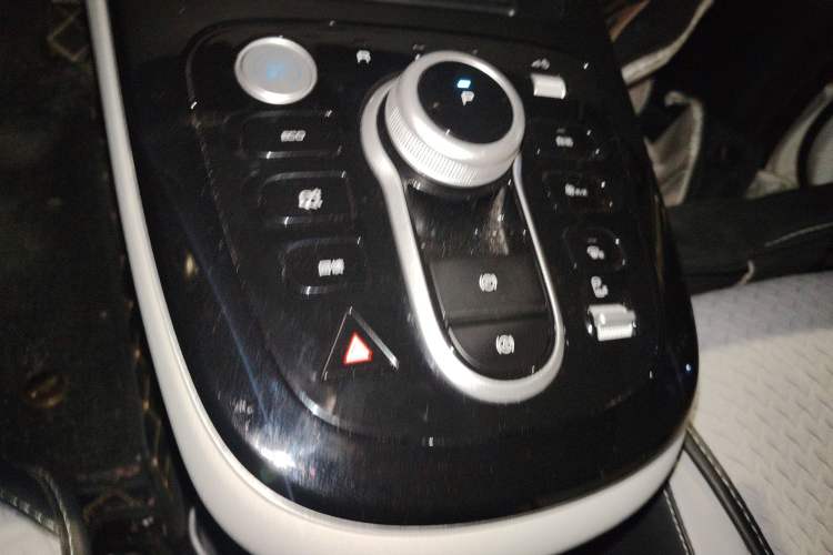 Used BYD D1 2022 Comfort Edition Gear Lever