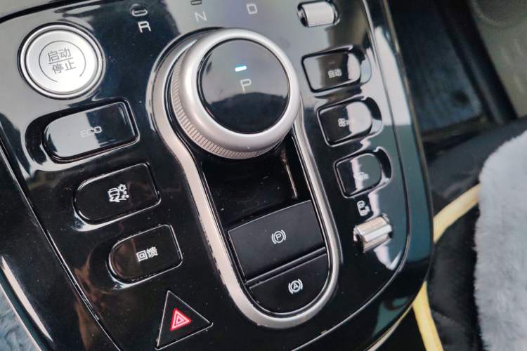 Used BYD D1 2022 Comfort Edition Gear Lever