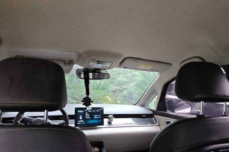 Used BYD D1 2022 Standard Edition Headliner