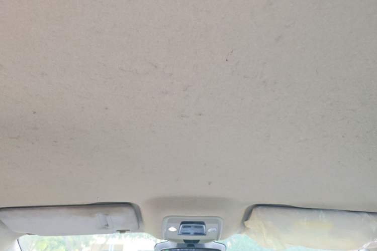 Used BYD D1 2022 Standard Edition Headliner