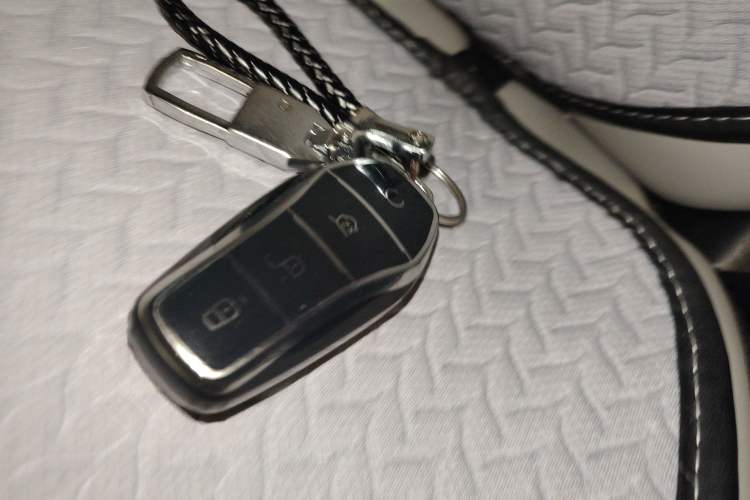 Used BYD D1 2022 Comfort Edition Vehicle Key