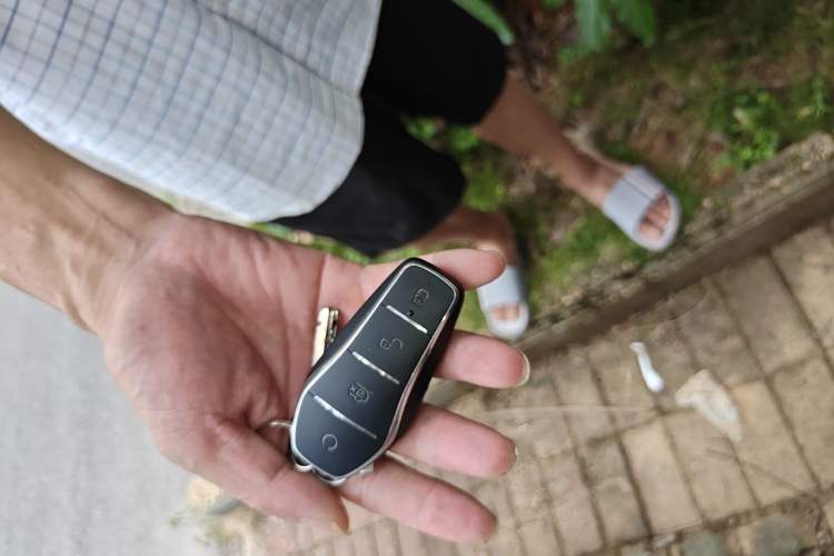 Used BYD D1 2022 Standard Edition Vehicle Key